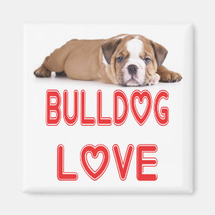 Íman Ímã de Cachorro Inglês Bulldog Filhote Amor