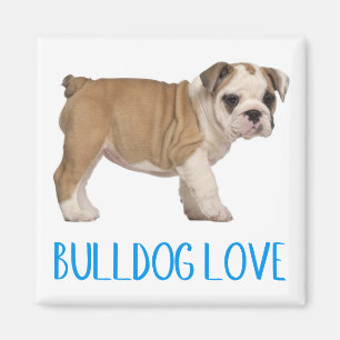 Íman Ímã de Cachorro Inglês Bulldog Filhote Amor