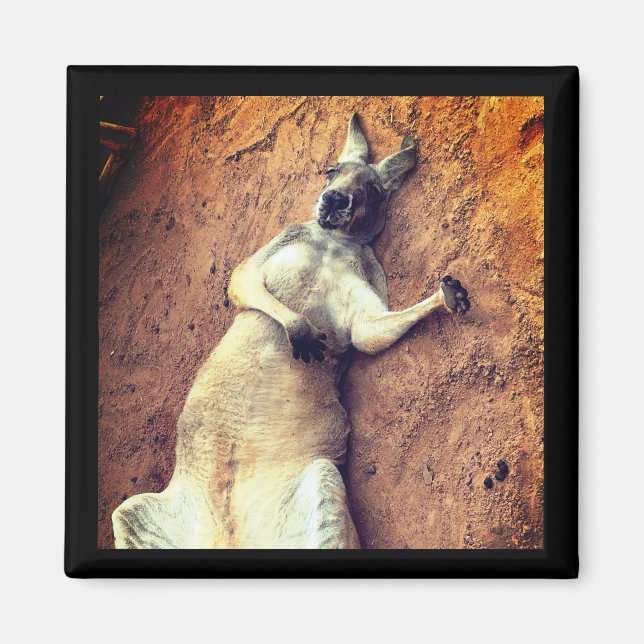 Íman Ímã de Canguru Dias Preguiçosos (Frente)