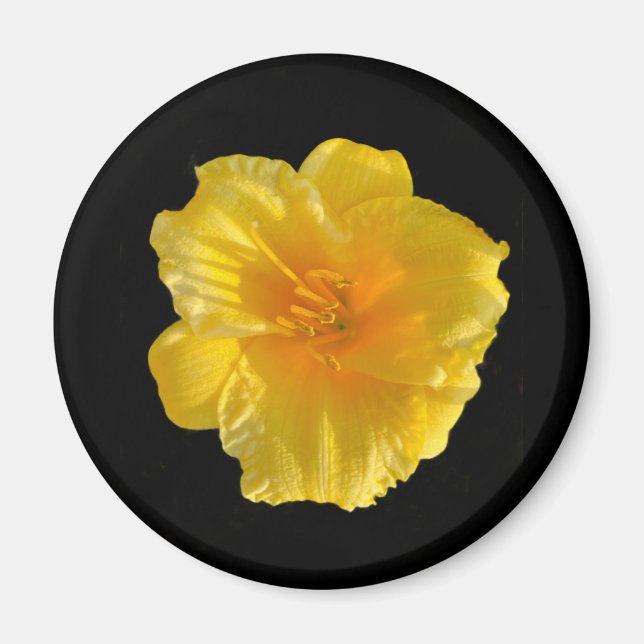 Íman Ímã de Círculo de Flor Amarela de 2 1/4 Polegadas  (Frente)