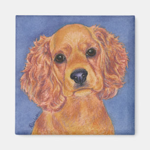 Íman Ímã de cocker spaniel - "Addie "