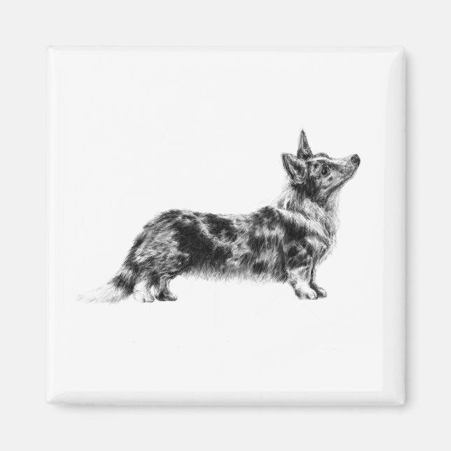 Íman Ímã de Corgi Cardigan Galês (Frente)