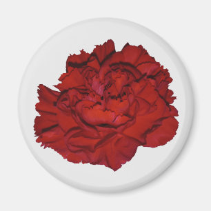 Íman Ímã de Cravo Vermelho