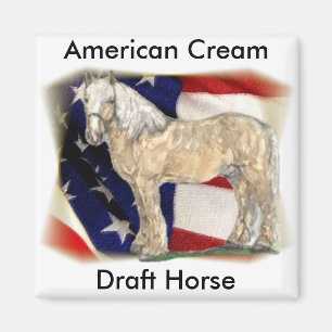 Íman Ímã de creme americano do cavalo