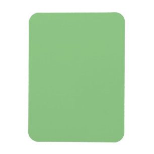 Íman Ímã de Decoração Minimalista Verde Salgueiro Calmo