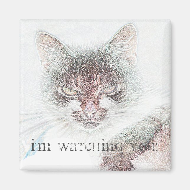 Íman Ímã de Desenho de Rosto de Gato Furioso Fofo (Frente)