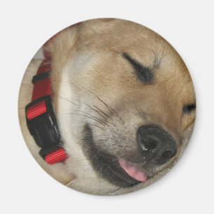 Íman Ímã de Dexter Bebe do fim de semana
