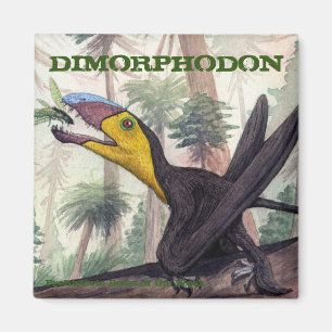 Íman Ímã de Dimorphodon