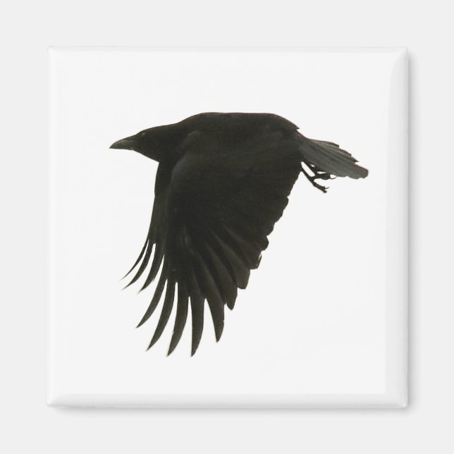 Íman ímã de downbeat (Frente)