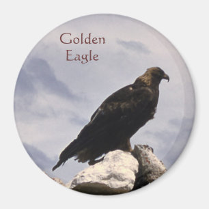 Íman Ímã de Eagle dourado