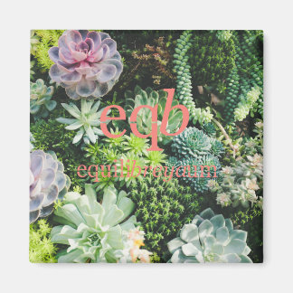 Íman ímã de equilíbrio