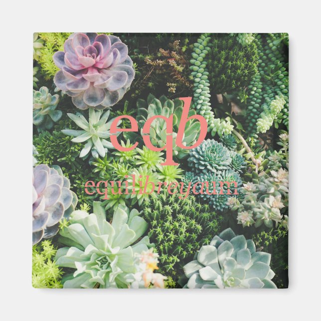 Íman ímã de equilíbrio (Frente)