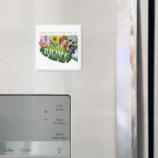 Íman Ímã de Estações do Bioma (In Situ (Fridge))
