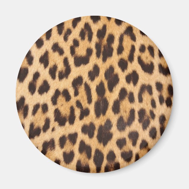 Íman Ímã de Estampa de Leopardo (Frente)