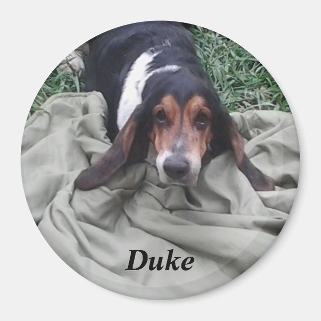 Íman Ímã de Estimação Duke (Frente)