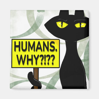 Íman Ímã de Fanny Bad Boogie - Humanos. Por quê? placa