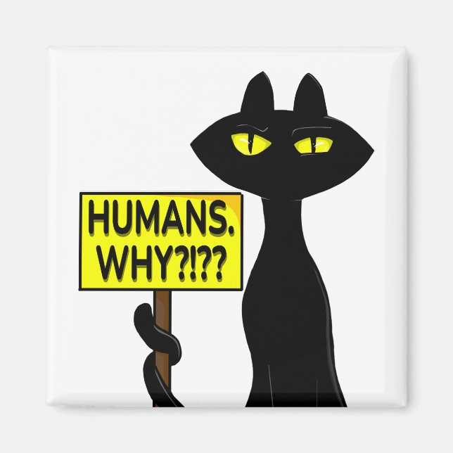 Íman Ímã de Fanny Bad Boogie - Humanos. Por quê? placa (Frente)