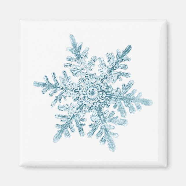 Íman Ímã de Floco de Neve (Frente)