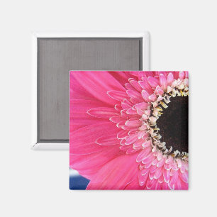Íman Ímã de Flor