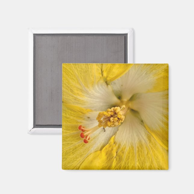 Íman Ímã de Flor (Front/Back)