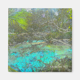 Íman Ímã de Florida da floresta nacional de Ocala