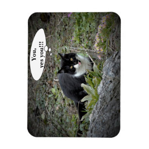 Íman Ímã de Foto com Texto Personalizado de Gato