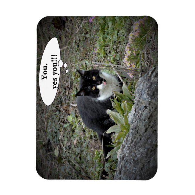 Íman Ímã de foto com texto personalizado de gato (Vertical)