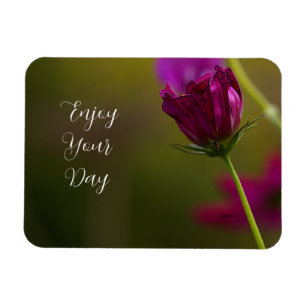 Íman Ímã de Foto de Flor