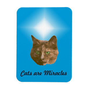 Íman Ímã de Foto - Gatos são Milagres