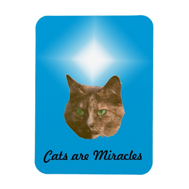 Íman Ímã de Foto - Gatos são Milagres (Vertical)