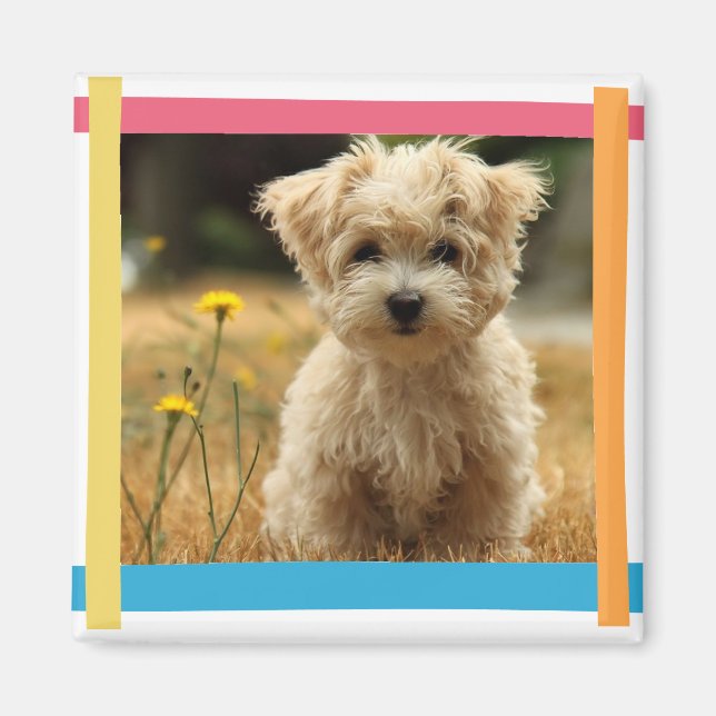 Íman ímã de fotos do instagram (Frente)