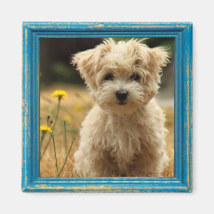 Íman ímã de fotos instagram