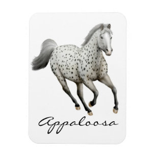 Íman Ímã de galope do prêmio do cavalo do Appaloosa