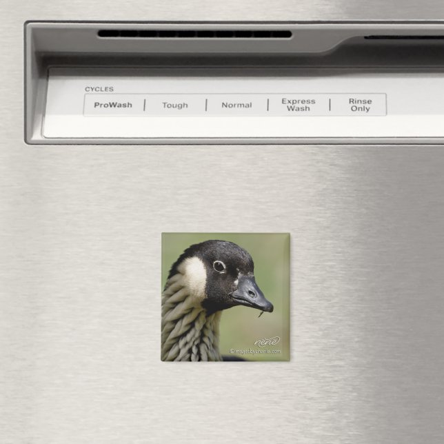 Íman Ímã de Ganso Nene Havaiano (In Situ (Dishwasher))