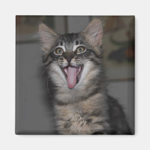 Íman Ímã de Garren Caspian Yawning