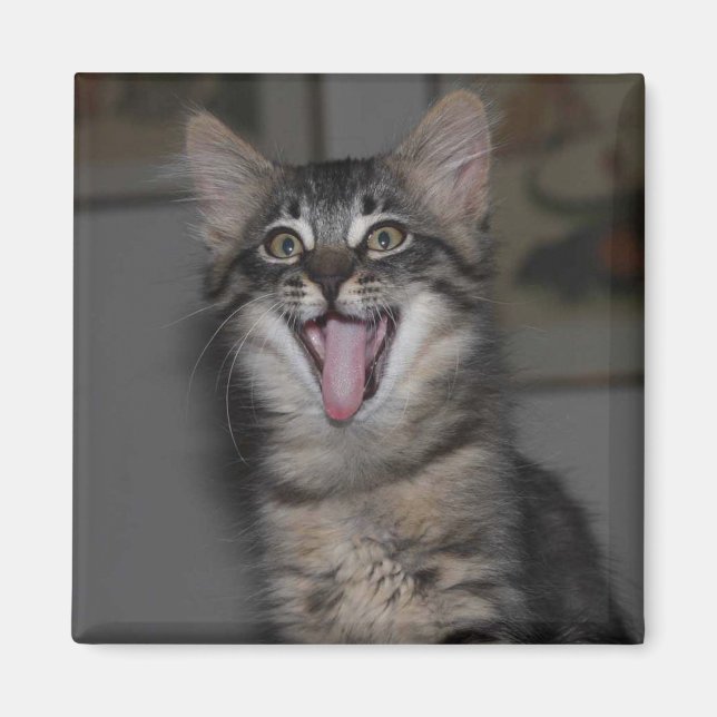 Íman Ímã de Garren Caspian Yawning (Frente)