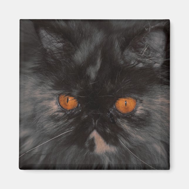 Íman ímã de Gatinho de salvamento (Frente)