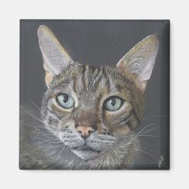 Íman Ímã de gato Bengal