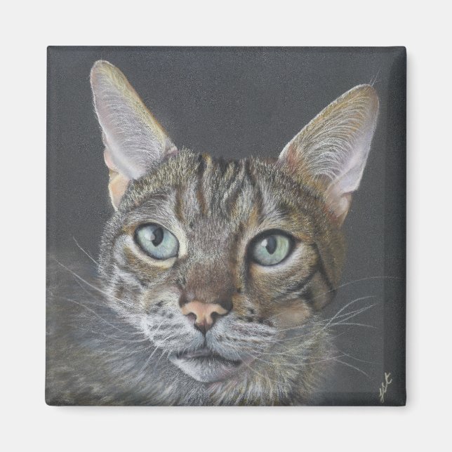 Íman Ímã de gato Bengal (Frente)