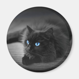 Íman Ímã de Gato Olhos Azul Meia-Noite - 2.25 Redondo F