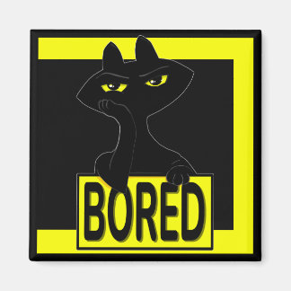 Íman Ímã de Gato Preto Bad Boogie Engraçado Sarcástico