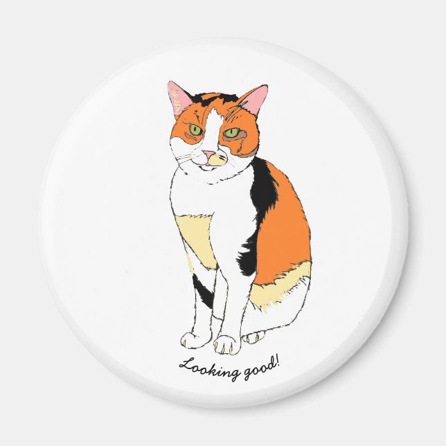 Íman imã de gato rico (Frente)