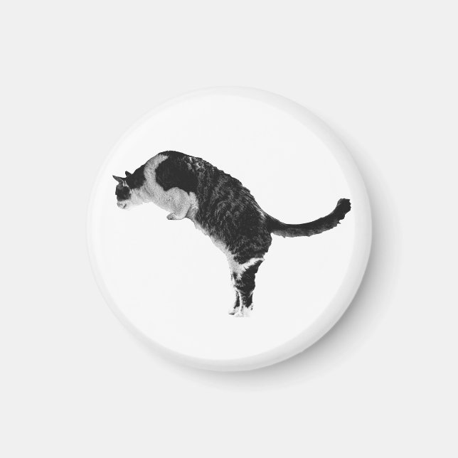 Íman Ímã de Gato Texturizado (Frente)