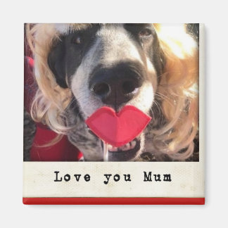 Íman Imã de geladeira