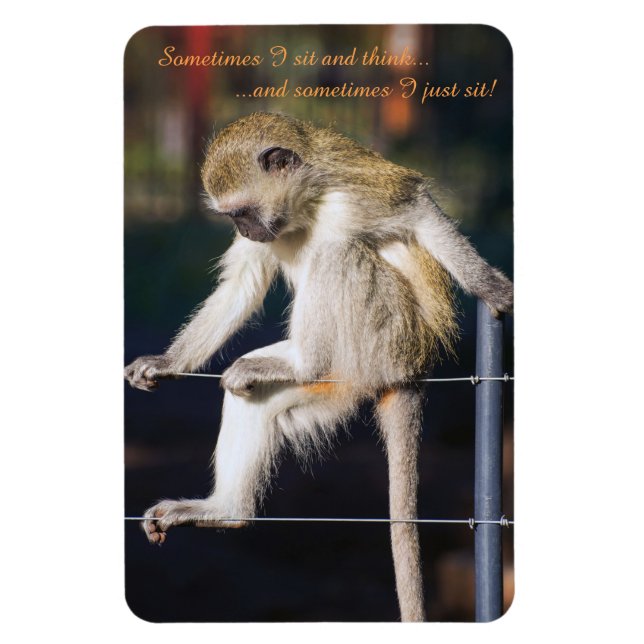 Íman imã de geladeira 4 x 6 com macaco e slogan (Vertical)