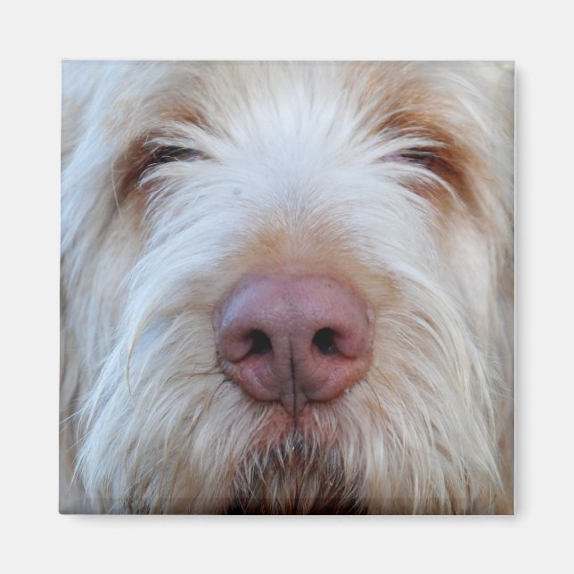 Íman Imã de geladeira Booper de Luigi (Frente)