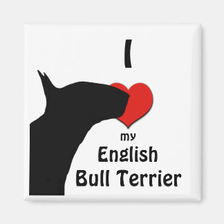 Íman Imã de geladeira Bull Terrier Inglês