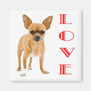 Íman Ímã de Geladeira Cachorrinho Chihuahua Amor