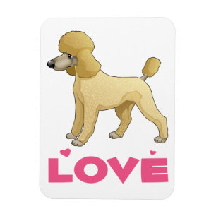 Íman Ímã de Geladeira Cachorrinho Poodle Miniatura Amor