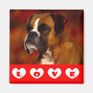 Íman Ímã de Geladeira Cachorro Boxer Amoroso
